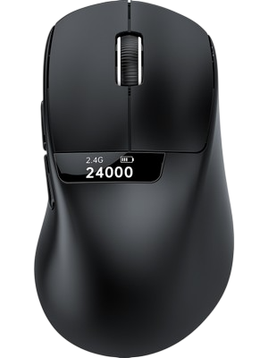 Mouse
